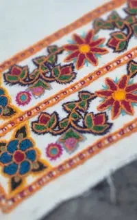 پته دستمال کاغذی شیک و پرکار
