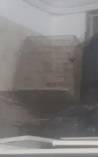 فروش توافقی قفس پرنده