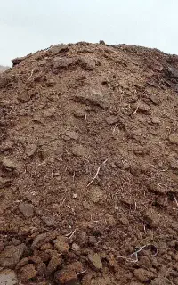 کارگردامداری