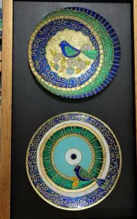 آموزش/سفارش جامع و اصولی ویترای اولین بار در استان