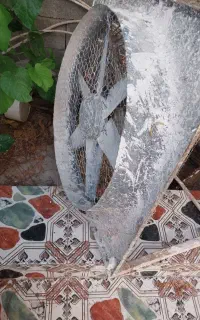 فن بزرگ