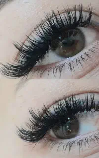مژه