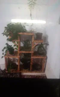 جای گلی چوبی