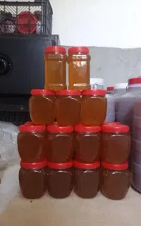 عسل طبیعی