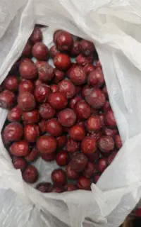 عناب تقاب فروشی