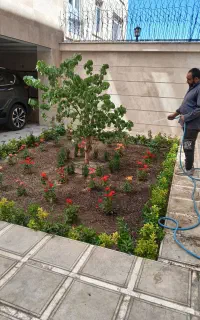 خدمات باغبانی درختکاری گل کاری هرس تهران و کرج