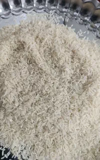 برنج فجر سوزنی 90روزه