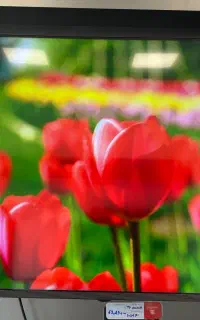 تلویزیون اقساطی بدون پیش پرداخت