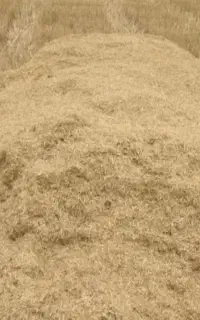 کاه گندم دیم 8انبار  روستای حسن سلیمان