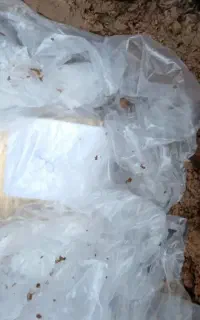 سرکتاب دفع همزاد وجذب و...