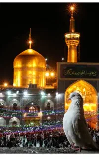 تور زیارتی مشهد مقدس