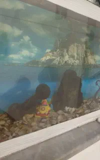اکواریوم