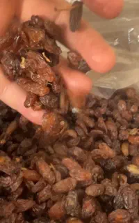 سلام انواع کشمش افتابی مخصوص آبگیری وخوراکی