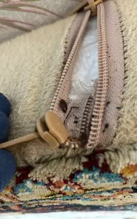 سمپاشی تخصصی تضمینی ساس سوسک بامجوزرسمی بهداشت