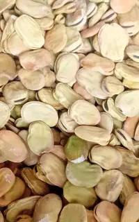 باقالی خشک طارم