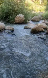 مال آقا