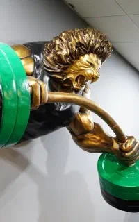 مربی خانم بدنسازی