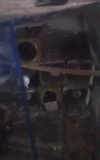 قفس کبوتری