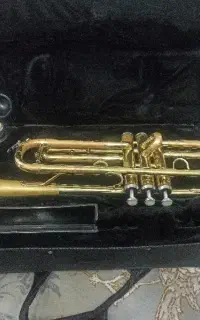 ترومپت جی وای