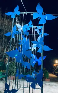 عکاسی رایگان