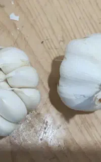 سیر دانه درشت ضمانتی