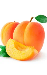 فروش زردآلو عمده و خرد