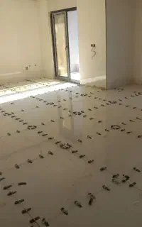 کاشی کاری و سرامیک کاری و ....