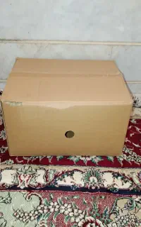 کارتن