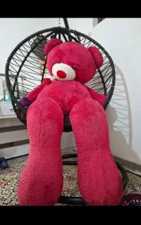 خرس عروسکی نو