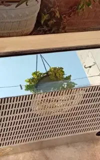 هود