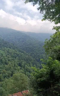 توریکروزه انزلی فقط ۸۰۰هزارتومان