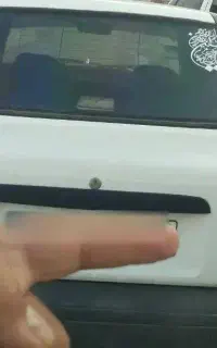 پپراید ۸۷ سالم وپلمپ