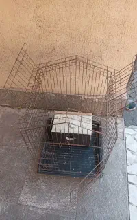 قفس پرنده