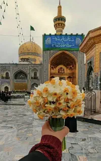 کاروان زیارتی کربلای معلا