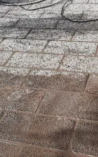 کفسابی کف سابی سنگسابی سنگ سابی نظافت تمیزکاری