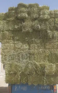 یونجه