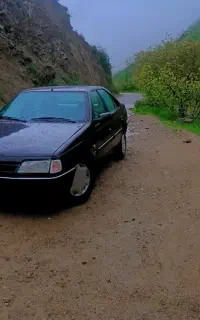 پژو۴۰۵
