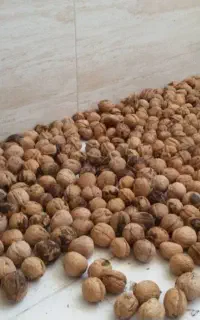گردو خشک درجه یک عمده ایی