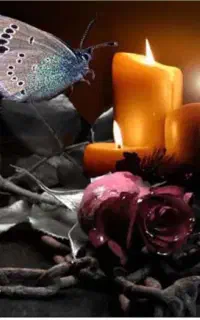 مداح حرفه ای ختم ترحیم مراسم مداحی نی و دف  سیستم