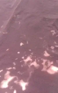 موکت متری 220تومان