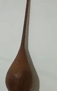 دوتار خوش صدا. حرفه ای