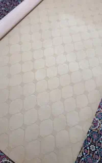 موکت نو