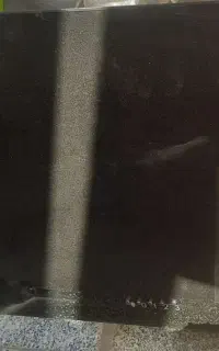 هود بزرگ و سالم