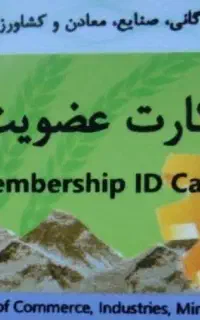 کارت بازرگانی حقیقی