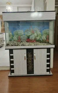 اکواریوم بدنه ام دی اف