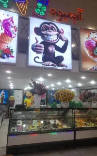 نیرو خانم شیفت صبح و شیفت شب