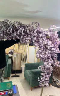 درختچه شکوفه
