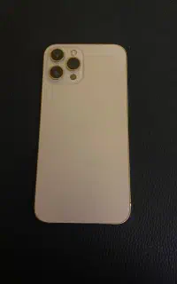 ایفون ۱۲ پرومکس