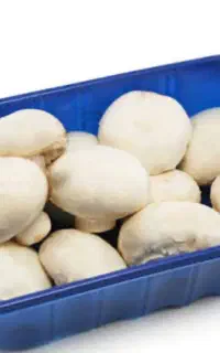 بسته بندی ‌و اسلایس قارچ