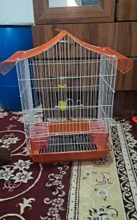 قفس کاملا نو